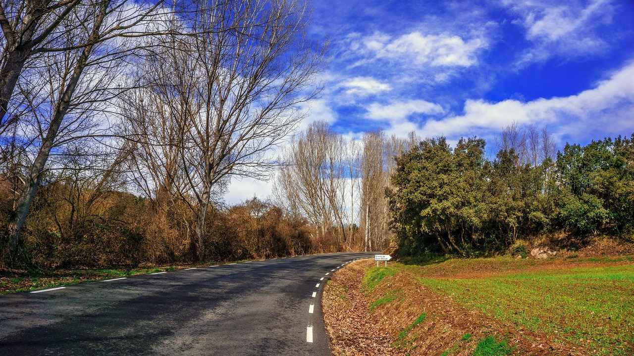 Almanya Transit Vizesi Nasıl Alınır?
