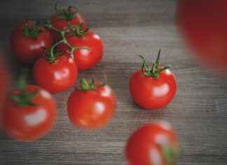 Almanya Türkiye Arası Kaç Kilometre? Almanya Türkiye Arası Kaç Kilometre?