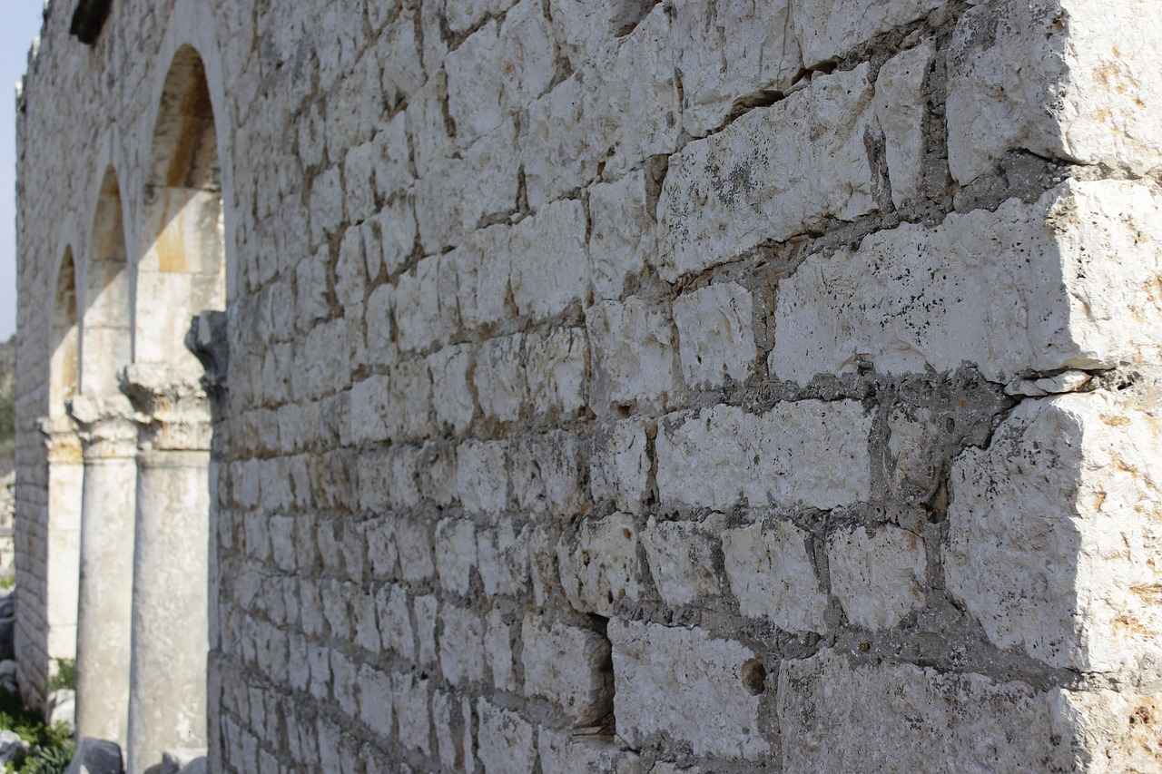 Kültürel ve Ekonomik Bağlantılar