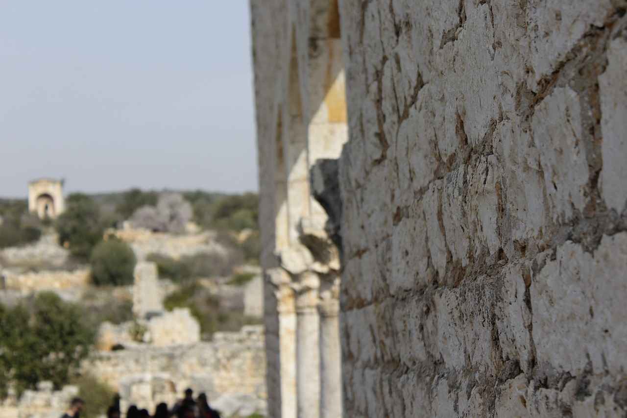 Tarihsel Bağlar ve Göçler