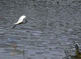 Almanya Uçak Bileti Fiyatları Ne Kadar? Almanya Uçak Bileti Fiyatları Ne Kadar?