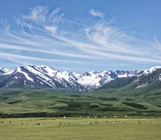 Almanya Üniversiteleri ve Eğitim Fırsatları Almanya Üniversiteleri ve Eğitim Fırsatları