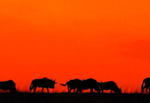 Almanya’da asgari ücret ne kadar 2023’te? Almanya'da asgari ücret ne kadar 2023'te?