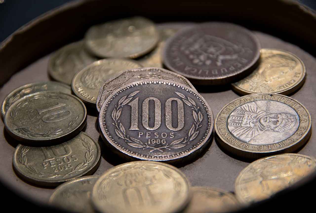 Sosyal Destek ve Yardımcı Programlar