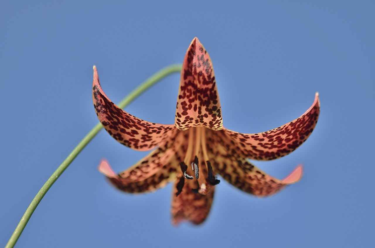 Türk Çalışanların Sağlık Hakları