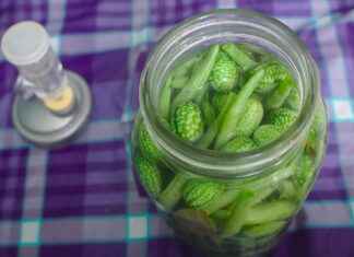 Almanya’da Çalışmak İçin Dil Yeterliliği Almanya’da Çalışmak İçin Dil Yeterliliği