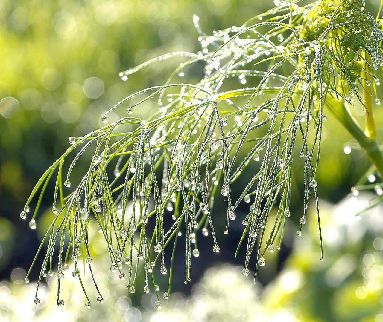 Sonuç: Almanya’da Dil Öğrenme Yolculuğunuz