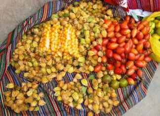 Almanya’da Eğitim Almak İçin En İyi Üniversiteler Almanya’da Eğitim Almak İçin En İyi Üniversiteler