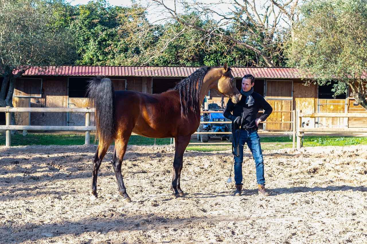 Sonuç: Almanya’da Eğitim Almak İçin Neden Tercih Edilmeli?