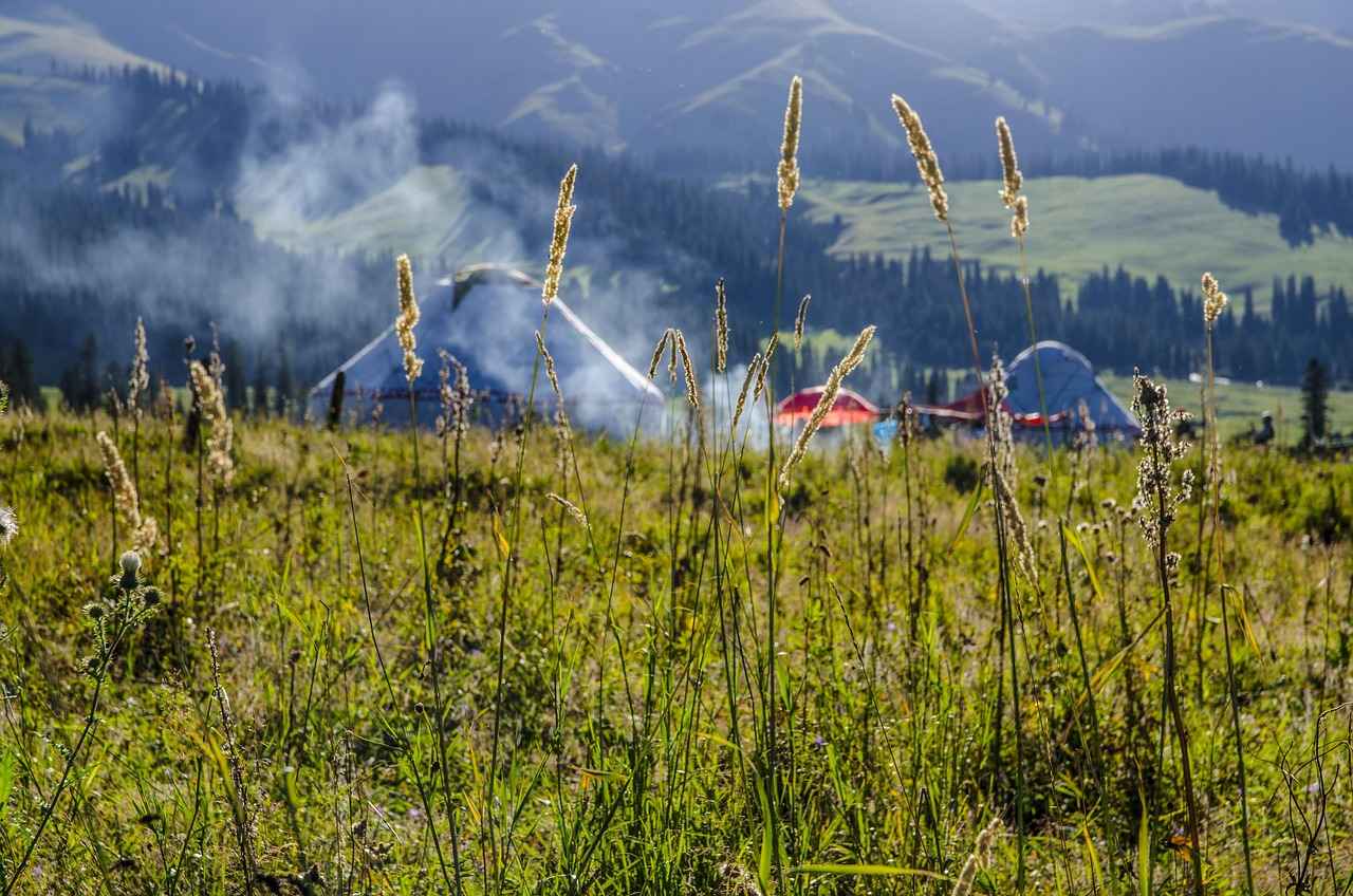 Almanya’da Eğitim Almanın Avantajları