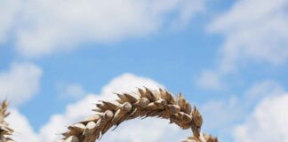 Almanya’da saat kaç? Güncel saat bilgisi Almanya'da saat kaç? Güncel saat bilgisi