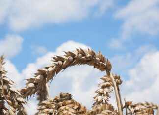 Almanya’da saat kaç? Güncel saat bilgisi Almanya'da saat kaç? Güncel saat bilgisi