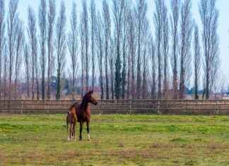 Almanya’da Sağlık Sigortası Nasıl Yapılır? Almanya'da Sağlık Sigortası Nasıl Yapılır?