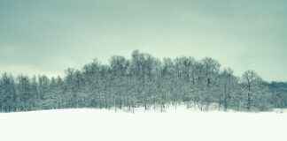 Almanya’da Türk Evlilik Geleneklerini Sürdürmek Almanya'da Türk Evlilik Geleneklerini Sürdürmek