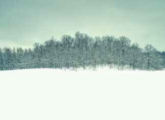 Almanya’da Türk Evlilik Geleneklerini Sürdürmek Almanya'da Türk Evlilik Geleneklerini Sürdürmek