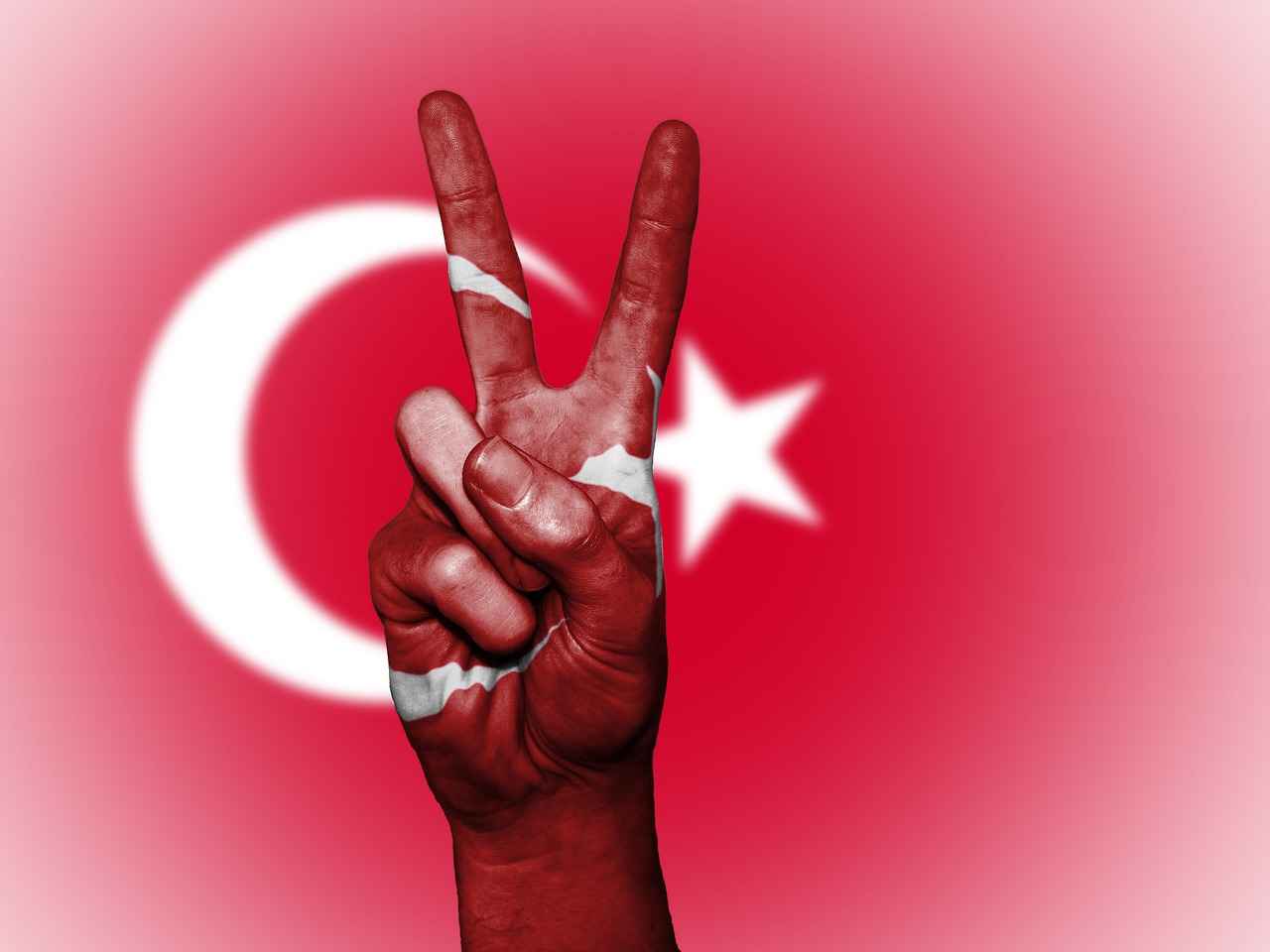 Yerel Destek Kuruluşları ve İşbirlikleri