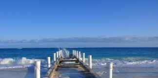 Almanya’da Türk Göçmenlerin Sosyal ve Ekonomik Durumu Almanya’da Türk Göçmenlerin Sosyal ve Ekonomik Durumu