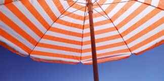 Almanya’da Türk Kadınlarının İş Hayatındaki Yeri Almanya’da Türk Kadınlarının İş Hayatındaki Yeri