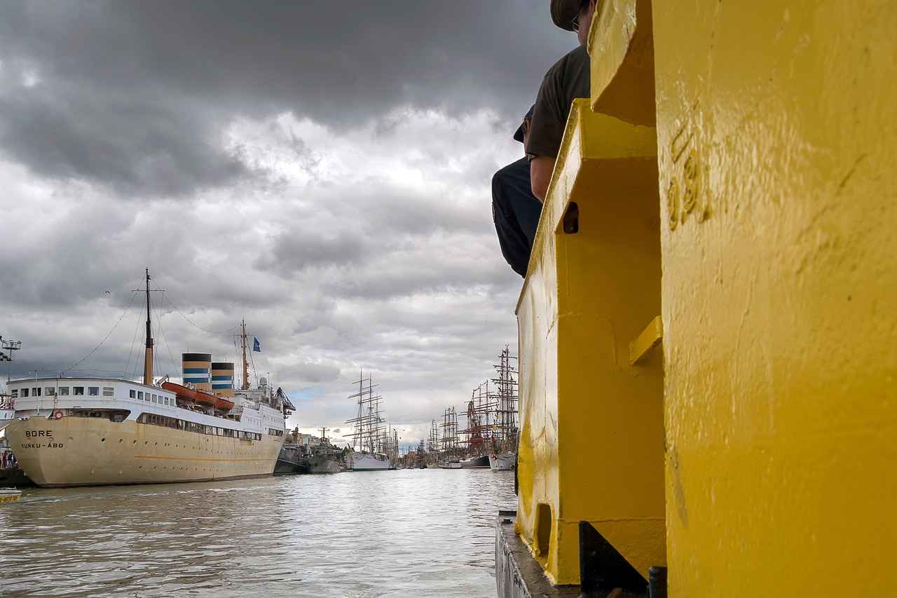 Almanya’da Türk Kültürünü Yaşatmak: Etkinlikler ve Organizasyonlar 1 Türk Kültürü ve Diaspora