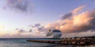 Almanya’da Türk Restoranları: Lezzetli Bir Yolculuk Almanya’da Türk Restoranları: Lezzetli Bir Yolculuk