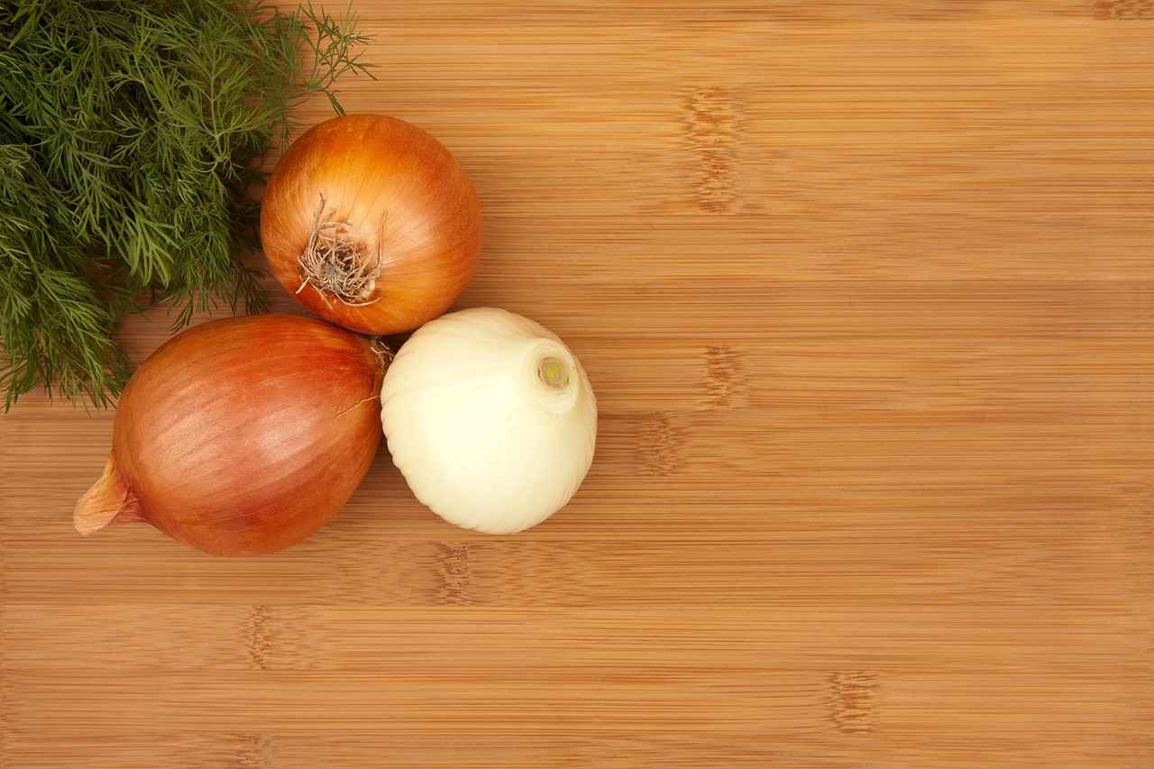 Türkçe Eğitimi Seçerken Dikkat Edilmesi Gerekenler