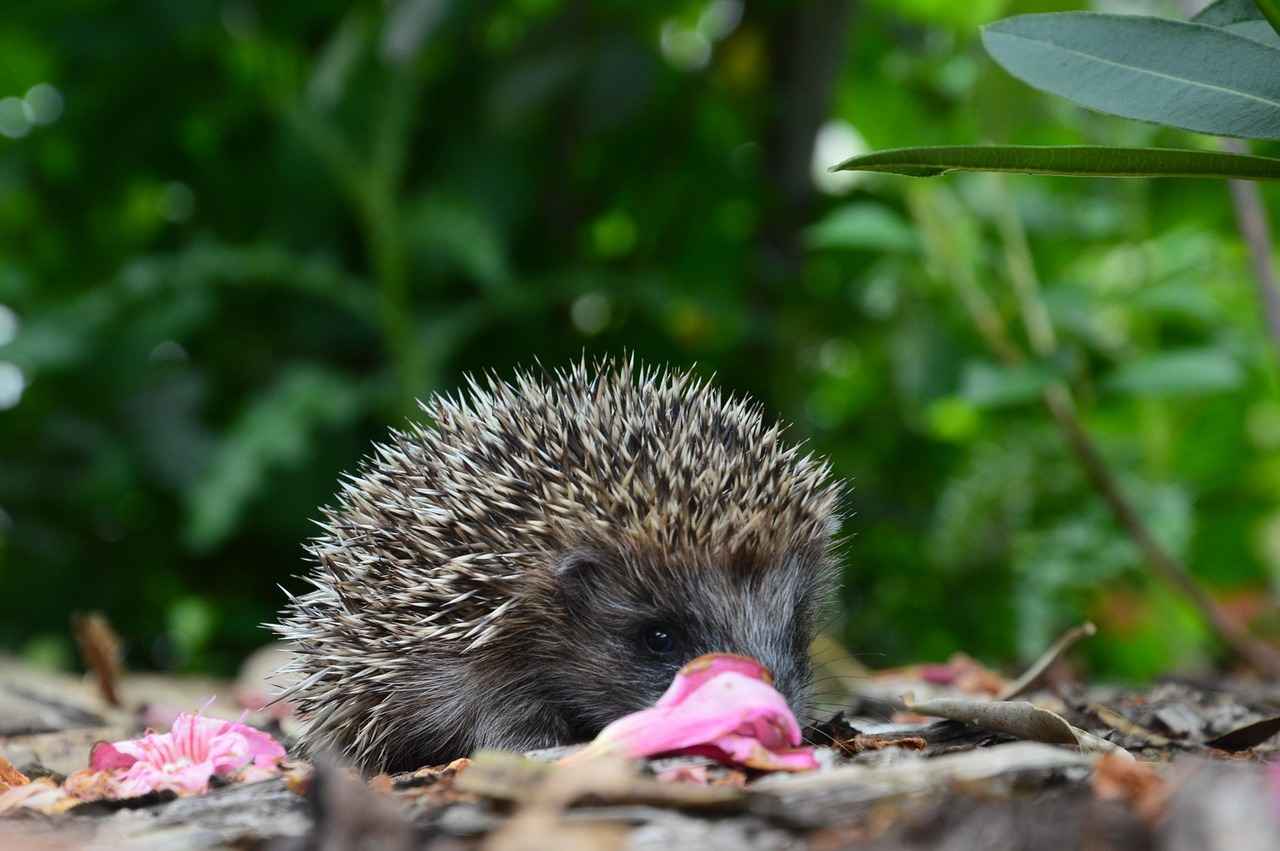 Almanya’da Türkler İçin Çalışma ve Eğitim Dengesi 4 Sonuç ve Öneriler