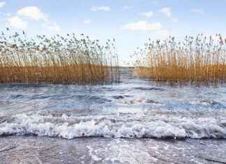 Almanya’da Türkler İçin Eğitimde Başarıya Ulaşma Yolları Almanya’da Türkler İçin Eğitimde Başarıya Ulaşma Yolları