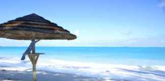 Almanya’da Türkler İçin Sağlık Sigortası Seçenekleri Almanya'da Türkler İçin Sağlık Sigortası Seçenekleri