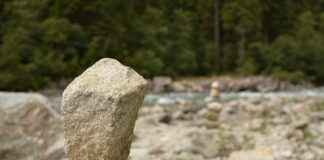 Almanya’da Türkler İçin Sosyal Güvenlik ve Sağlık Sistemleri Almanya’da Türkler İçin Sosyal Güvenlik ve Sağlık Sistemleri