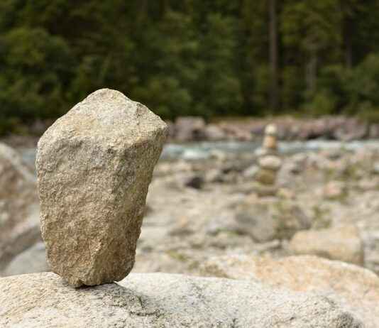 Almanya’da Türkler İçin Sosyal Güvenlik ve Sağlık Sistemleri Almanya’da Türkler İçin Sosyal Güvenlik ve Sağlık Sistemleri