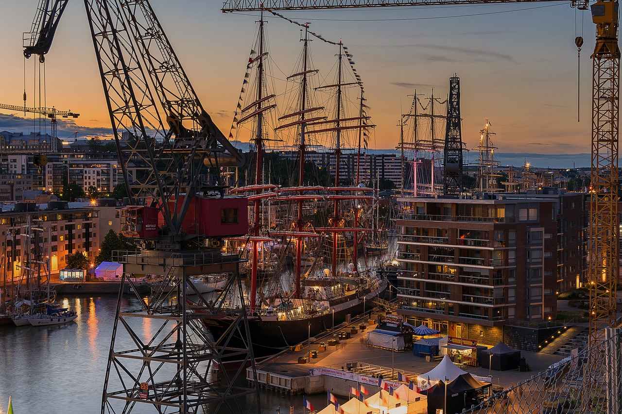 Türklerin Ekonomik Etkileri