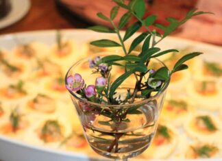 Almanya’da Yabancı Dil Bilgisi Olmadan İş Bulmak Almanya’da Yabancı Dil Bilgisi Olmadan İş Bulmak