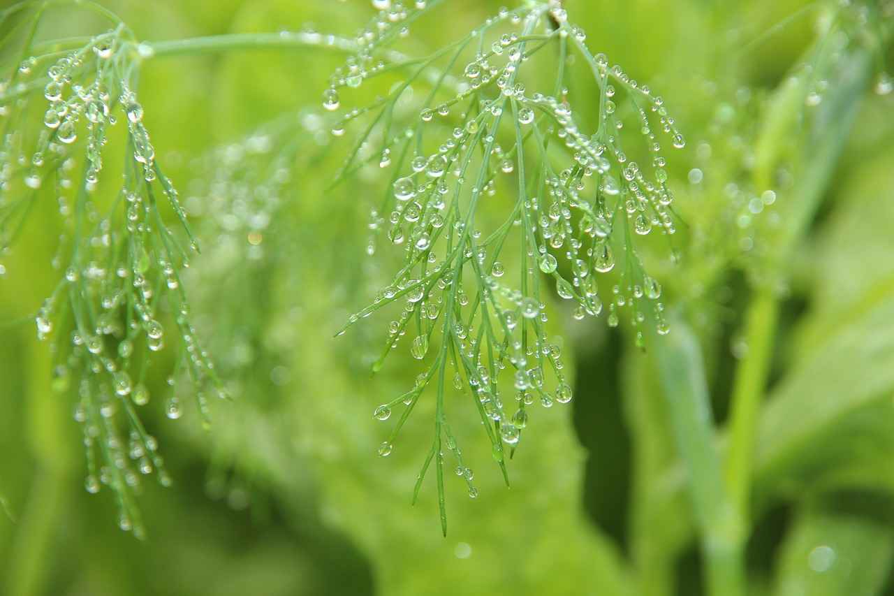 Yabancı Dil Öğrenmenin Faydaları