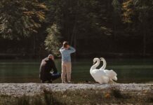 Danimarka’da Aile ile Yapılacak Aktiviteler Danimarka'da Aile ile Yapılacak Aktiviteler