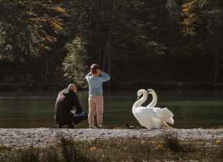 Danimarka’da Aile ile Yapılacak Aktiviteler Danimarka'da Aile ile Yapılacak Aktiviteler