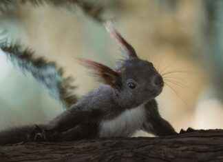 Danimarka’da Doğa Yürüyüşleri: En Güzel Parkurlar Danimarka'da Doğa Yürüyüşleri: En Güzel Parkurlar