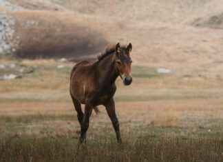 Danimarka’da Sağlıklı Yaşam Tarzı: İpuçları Danimarka'da Sağlıklı Yaşam Tarzı: İpuçları