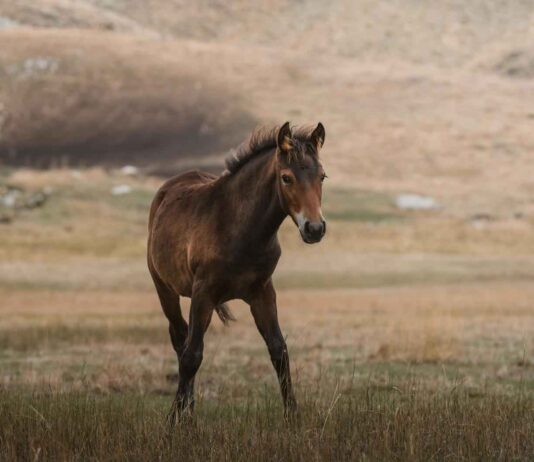 Danimarka’da Sağlıklı Yaşam Tarzı: İpuçları Danimarka'da Sağlıklı Yaşam Tarzı: İpuçları