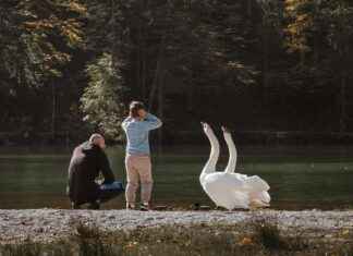 Danimarka’da Sürdürülebilir Yaşam: Nasıl Başlanır? Danimarka'da Sürdürülebilir Yaşam: Nasıl Başlanır?