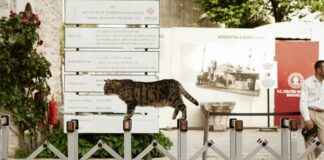 Danimarka’da Yapılacak En Eğlenceli Şeyler Danimarka'da Yapılacak En Eğlenceli Şeyler