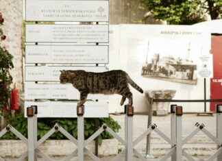 Danimarka’da Yapılacak En Eğlenceli Şeyler Danimarka'da Yapılacak En Eğlenceli Şeyler