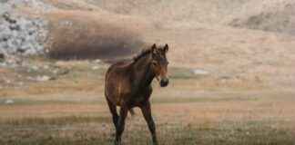 Danimarka’da Yaşam Maliyeti: Ne Kadar Harcamalıyım? Danimarka'da Yaşam Maliyeti: Ne Kadar Harcamalıyım?