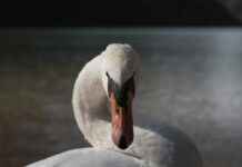 Danimarka’nın En Güzel Doğa Manzaraları Danimarka'nın En Güzel Doğa Manzaraları