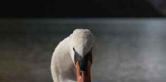 Danimarka’nın En Güzel Doğa Manzaraları Danimarka'nın En Güzel Doğa Manzaraları