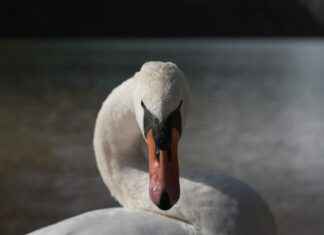 Danimarka’nın En Güzel Doğa Manzaraları Danimarka'nın En Güzel Doğa Manzaraları