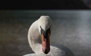 Danimarka’nın En Güzel Doğa Manzaraları Danimarka'nın En Güzel Doğa Manzaraları