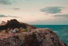 Danimarka’nın En Güzel Kafeleri: Dinlenmek İçin Danimarka'nın En Güzel Kafeleri: Dinlenmek İçin