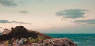 Danimarka’nın En Güzel Kafeleri: Dinlenmek İçin Danimarka'nın En Güzel Kafeleri: Dinlenmek İçin