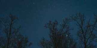 Danimarka’nın En Güzel Kış Manzaraları Danimarka'nın En Güzel Kış Manzaraları