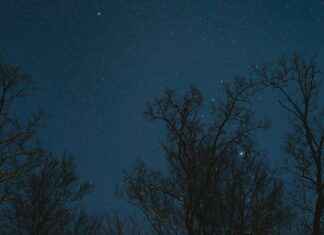 Danimarka’nın En Güzel Kış Manzaraları Danimarka'nın En Güzel Kış Manzaraları